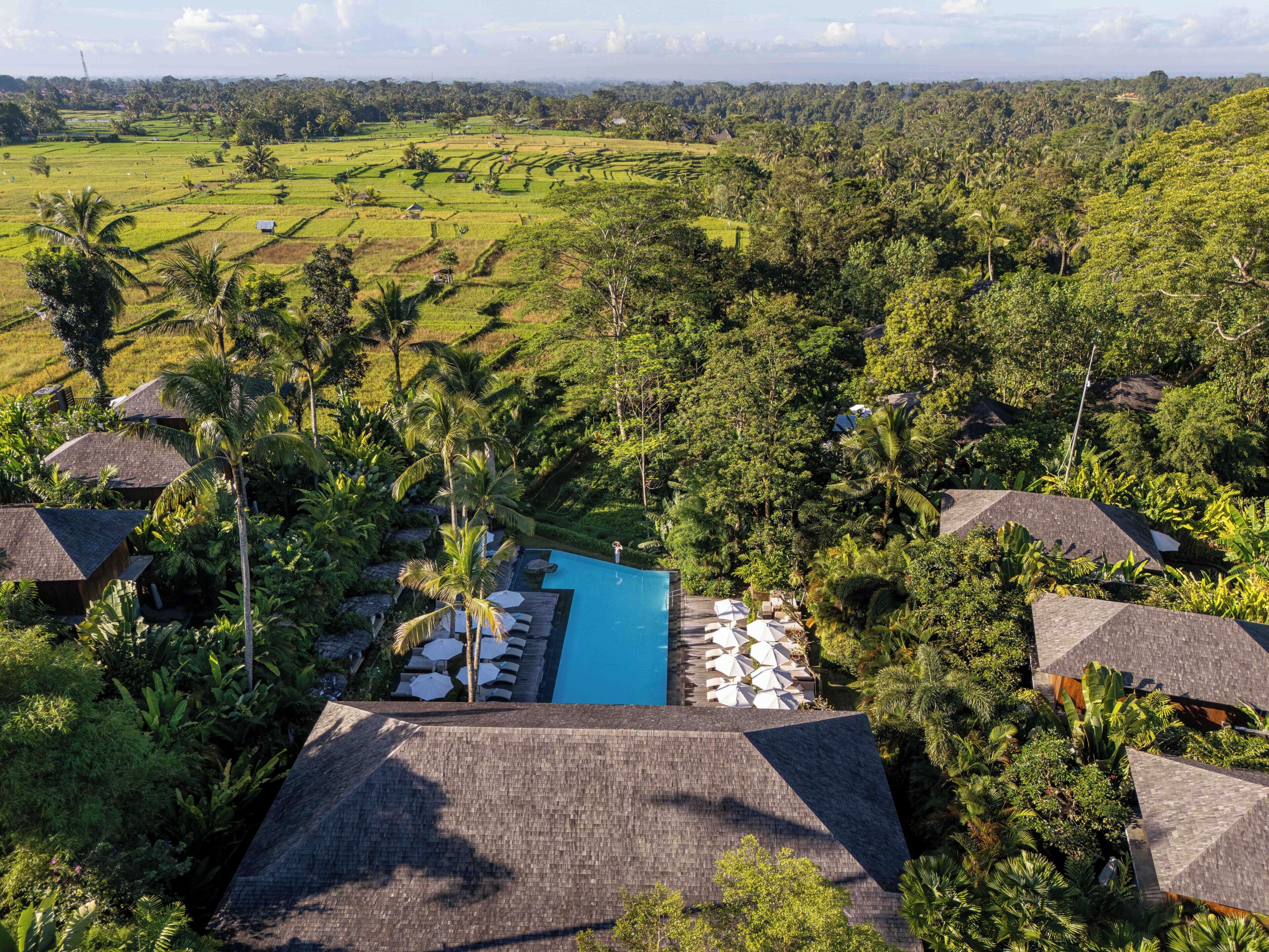 A resort with a swimming pool surrounded by lush greenery and thatched-roof structures.