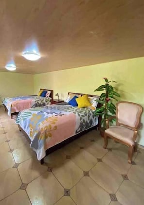 1 chambre, Wi-Fi