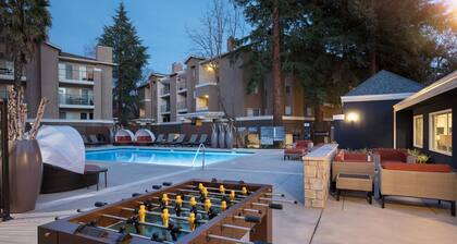 Premium Walnut Creek 1BR w/ Pool, Gym & W/D, close to BART, by Blueground