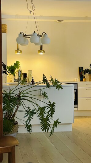 Interior - City Apartment in Copenhagen with 2 bedrooms sleeps 4 (Copenhagen)