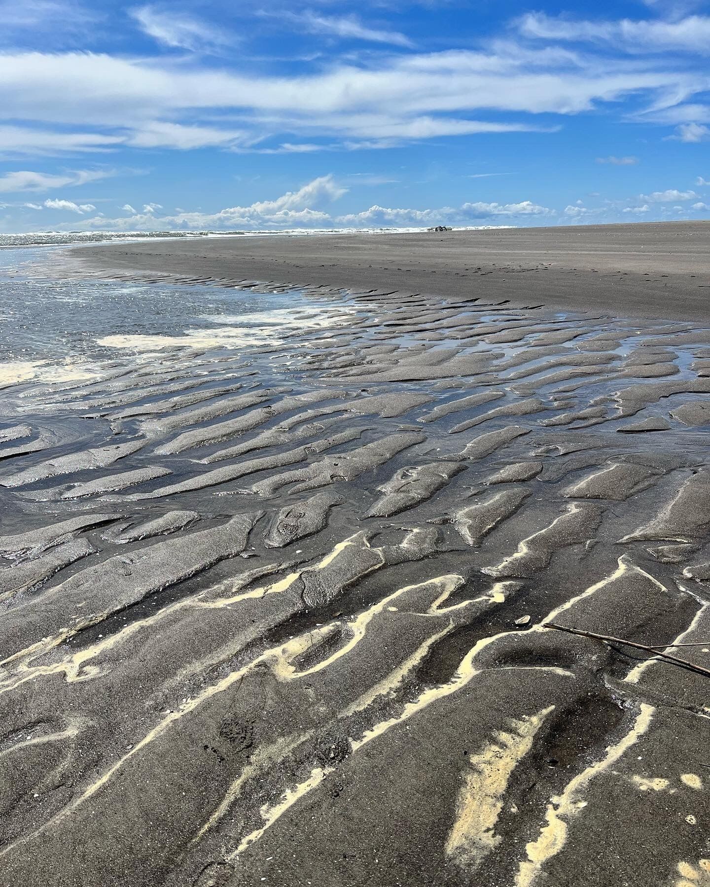 Plage à proximité, chaises longues, serviettes de plage