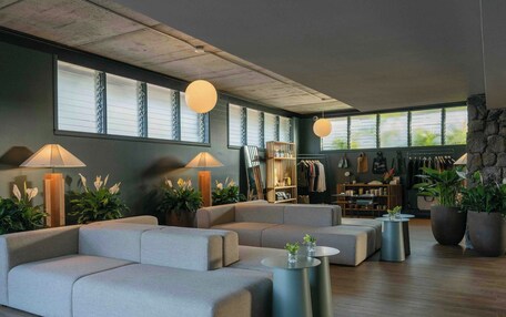 A modern living room with a sectional sofa, round coffee tables, and potted plants.