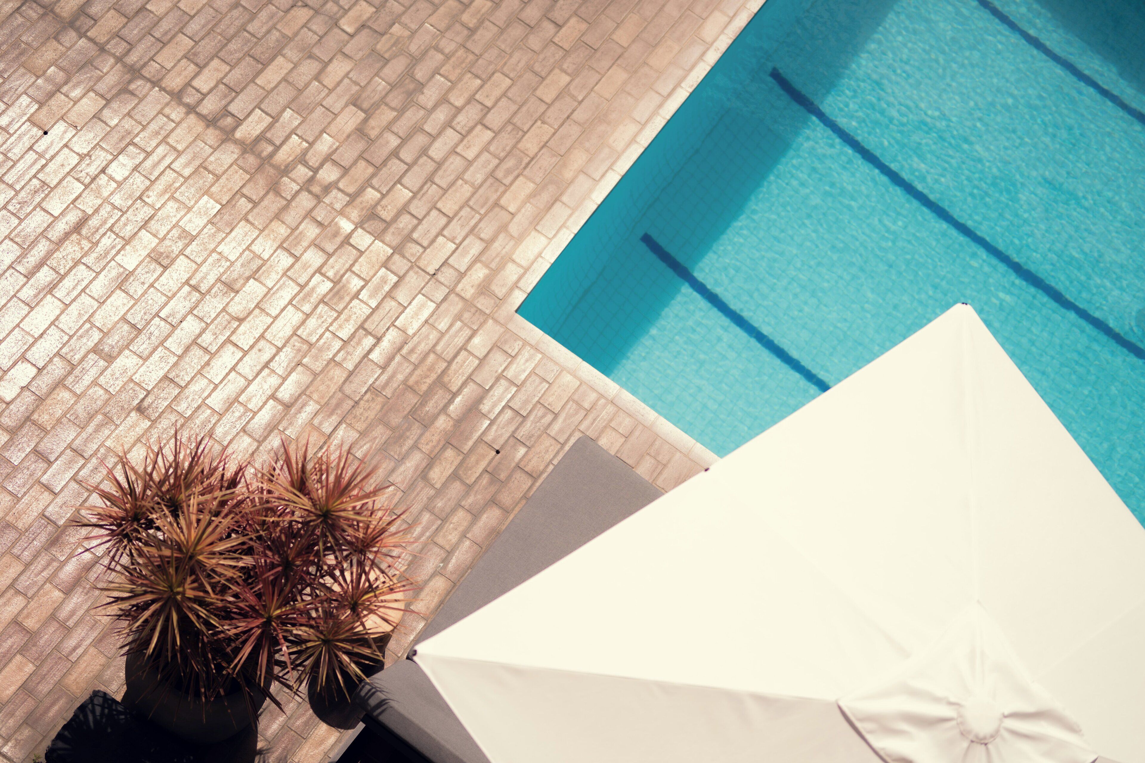 Outdoor pool, open 9:00 AM to 9:00 PM, pool umbrellas, sun loungers