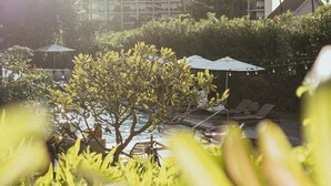 Zwembadgedeelte van een resort met ligbedden en parasols, omringd door palmbomen en een gebouw op de achtergrond.