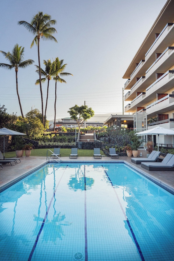 Piscine extérieure, parasols de plage, chaises longues
