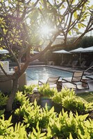 Una piscina al aire libre, sombrillas, sillones reclinables de piscina