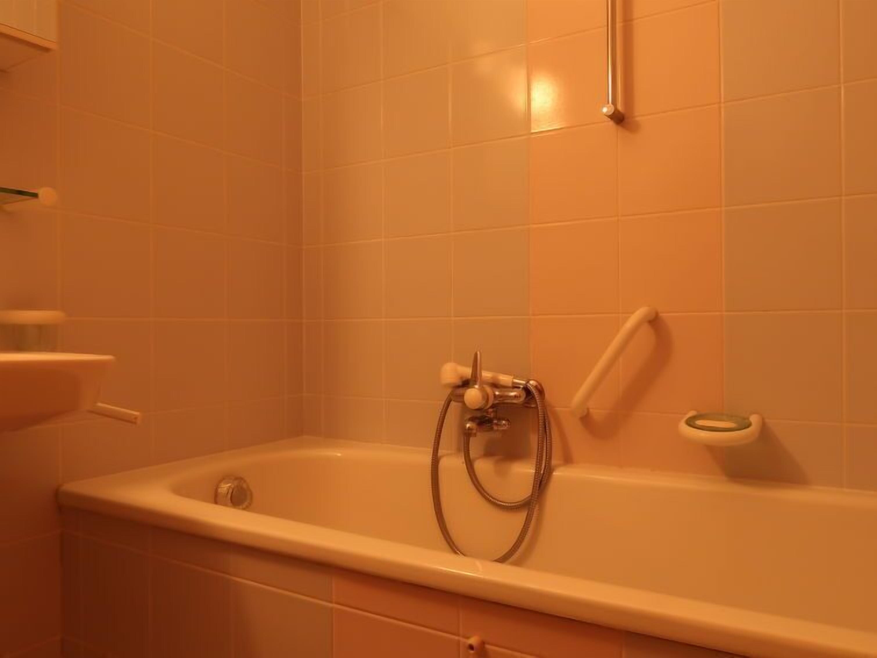 Une salle de bain avec une baignoire, une douche et des toilettes.