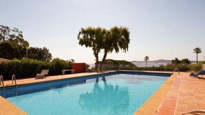 Une piscine d’un bleu éclatant, avec une terrasse carrelée, des chaises longues et un palmier.