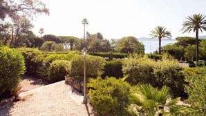 Un sentier qui traverse un jardin luxuriant, où l’on trouve différentes espèces de plantes, et un lampadaire.