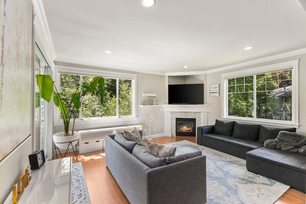TV, fireplace