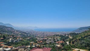 Unclassified image, 3 of 24, button