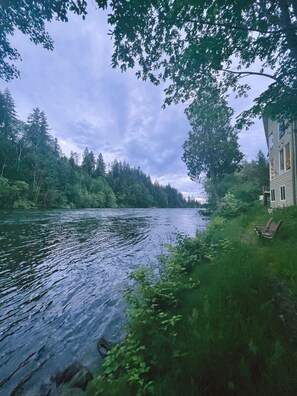 Udsigt over en flod med en hytte og en bænk.
