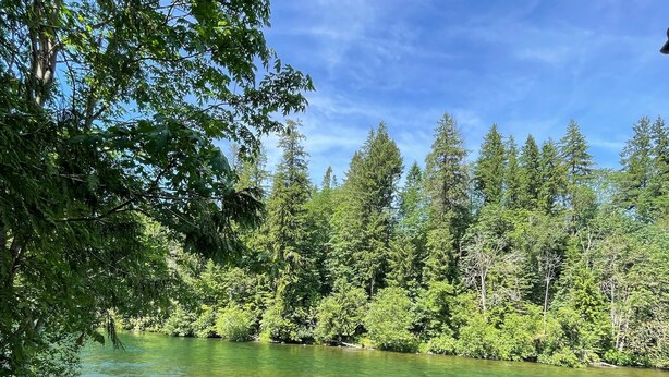 A river with a wooden deck and chairs, surrounded by dense green trees and a clear sky.