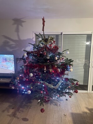 Interior - Villa in the Camargue with pellet stove (Aimargues)