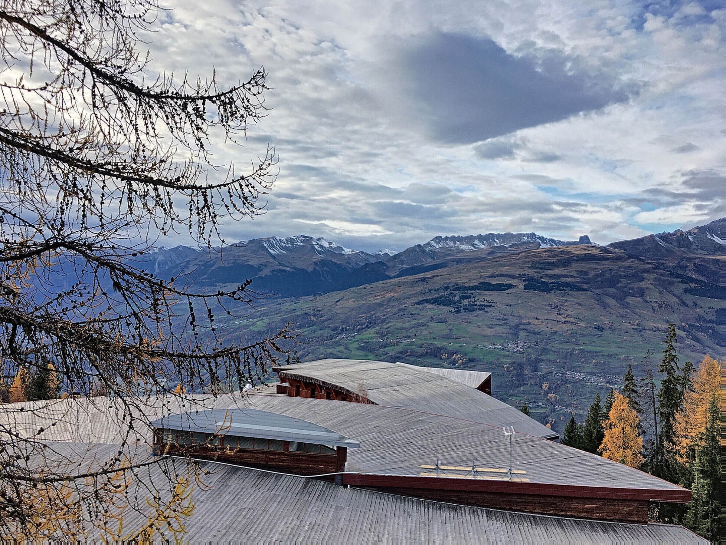 Eksteriør