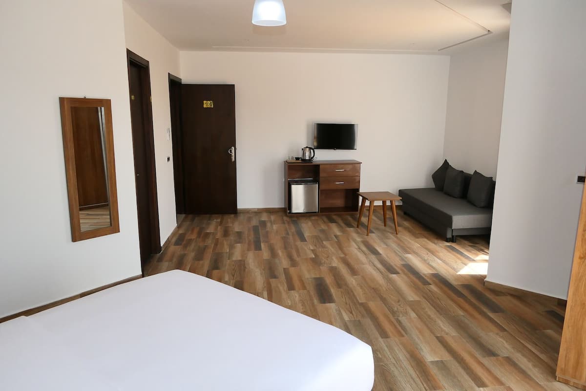 A hotel room with a bed, a desk with a TV, a sofa, and a kitchenette.
