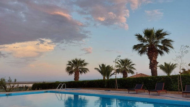 A swimming pool with lounge chairs and palm trees, surrounded by a hedge and a view of the sea. - Luxury New Loft Apartments in Halkidiki (Agios Mamas, Chalkidiki)