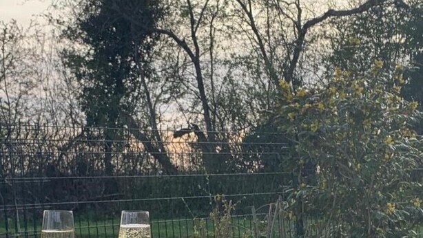 Two glasses of white wine on a wooden table with a view of a road and trees in the background. - Our quirky Gite is 4 minutes drive to Gouzon and 12 minutes drive to Boussac. (Trois Fomds)