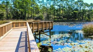 A wooden pier extending into a lake surrounded by trees.