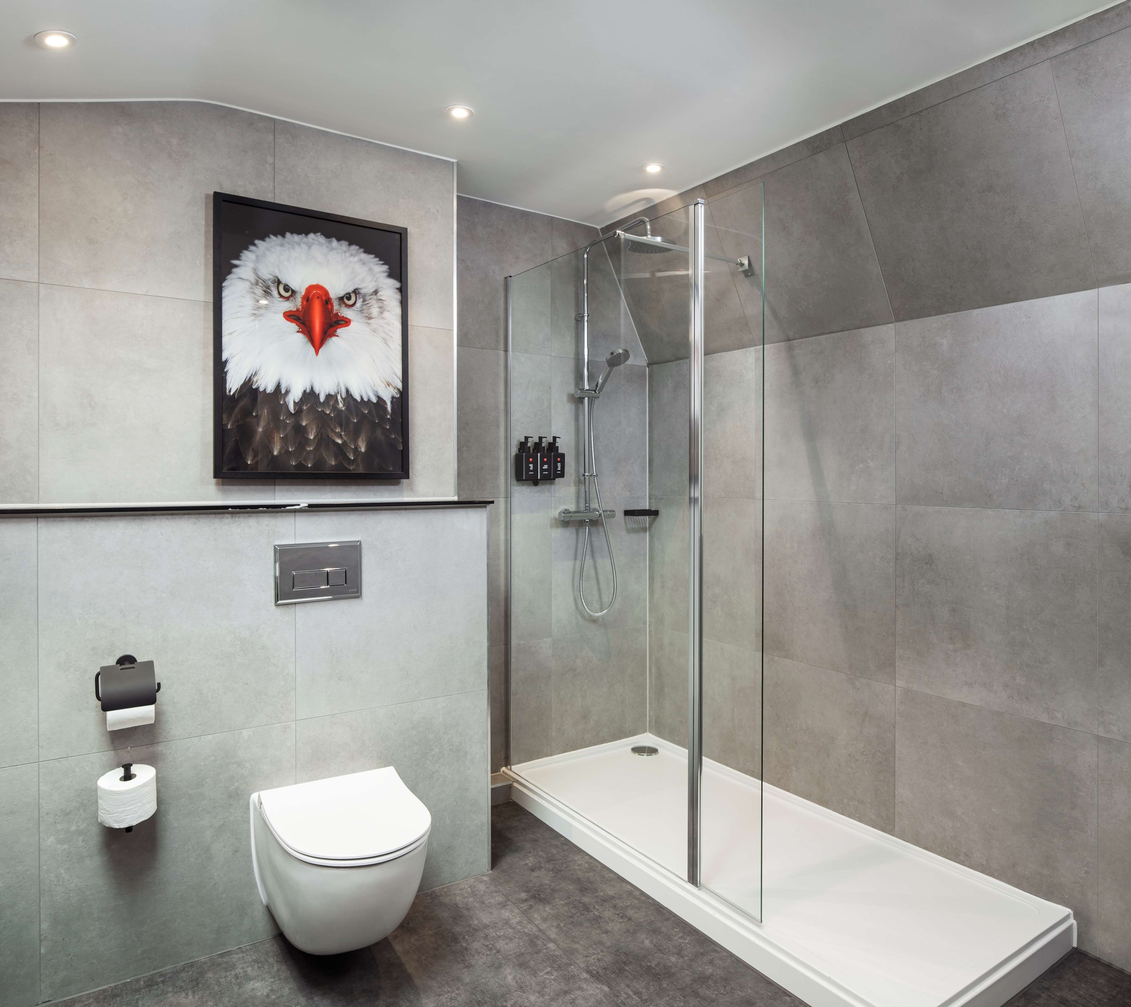 A modern bathroom with a glass-enclosed shower, a toilet, and a framed eagle artwork on the wall.