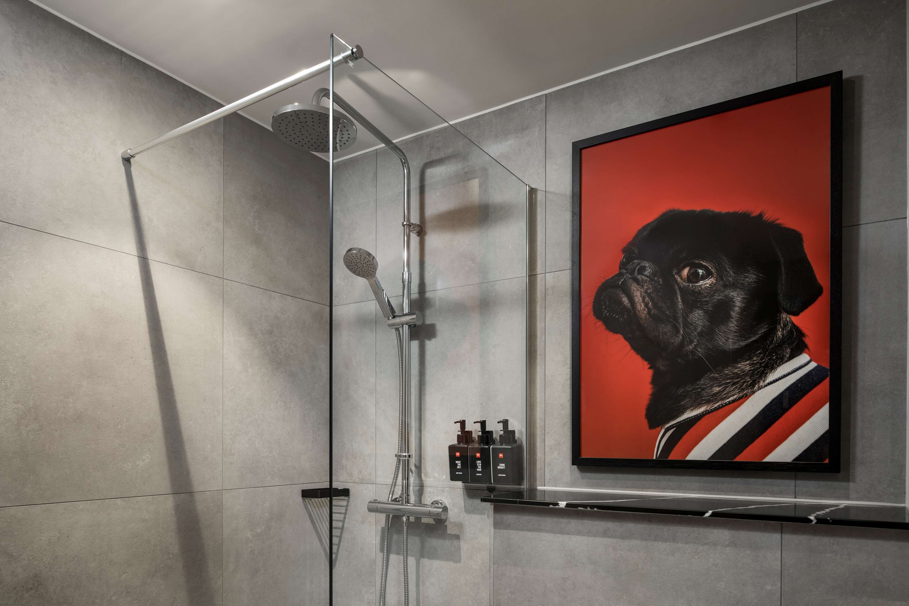 Une douche moderne équipée d’un pommeau de douche à main et d’un pommeau de douche à pluie, un tableau encadré représentant un chien accroché au mur, et un ensemble de produits de toilette disposés sur une étagère.