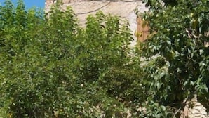 A stone building with a tiled roof, a small entrance, and a garden with trees. - Farmhouse Il Palazzetto with a panoramic view (Campello sul Clitunno)
