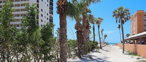 Playa