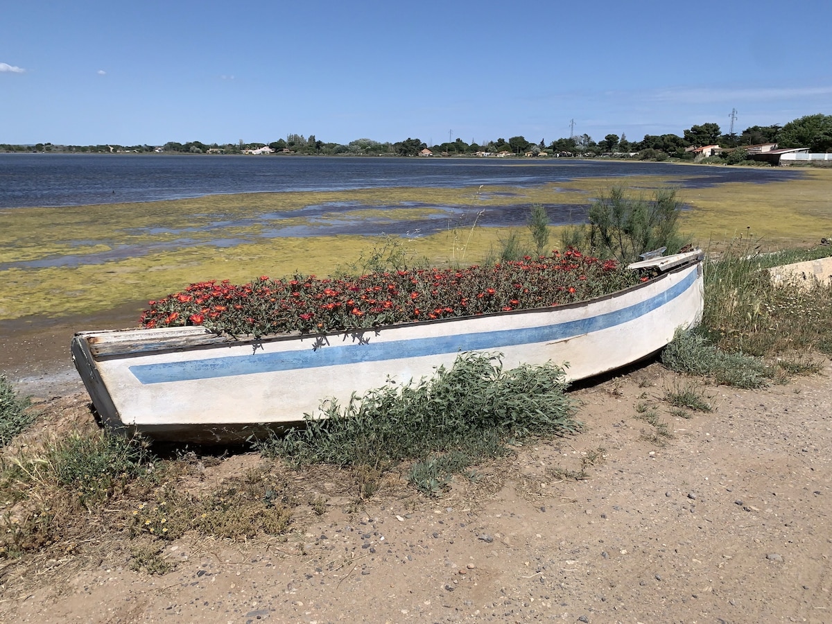 Image de profil de l’hôte