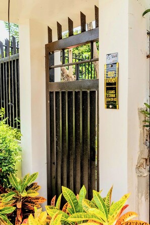 Détail de l’extérieur
