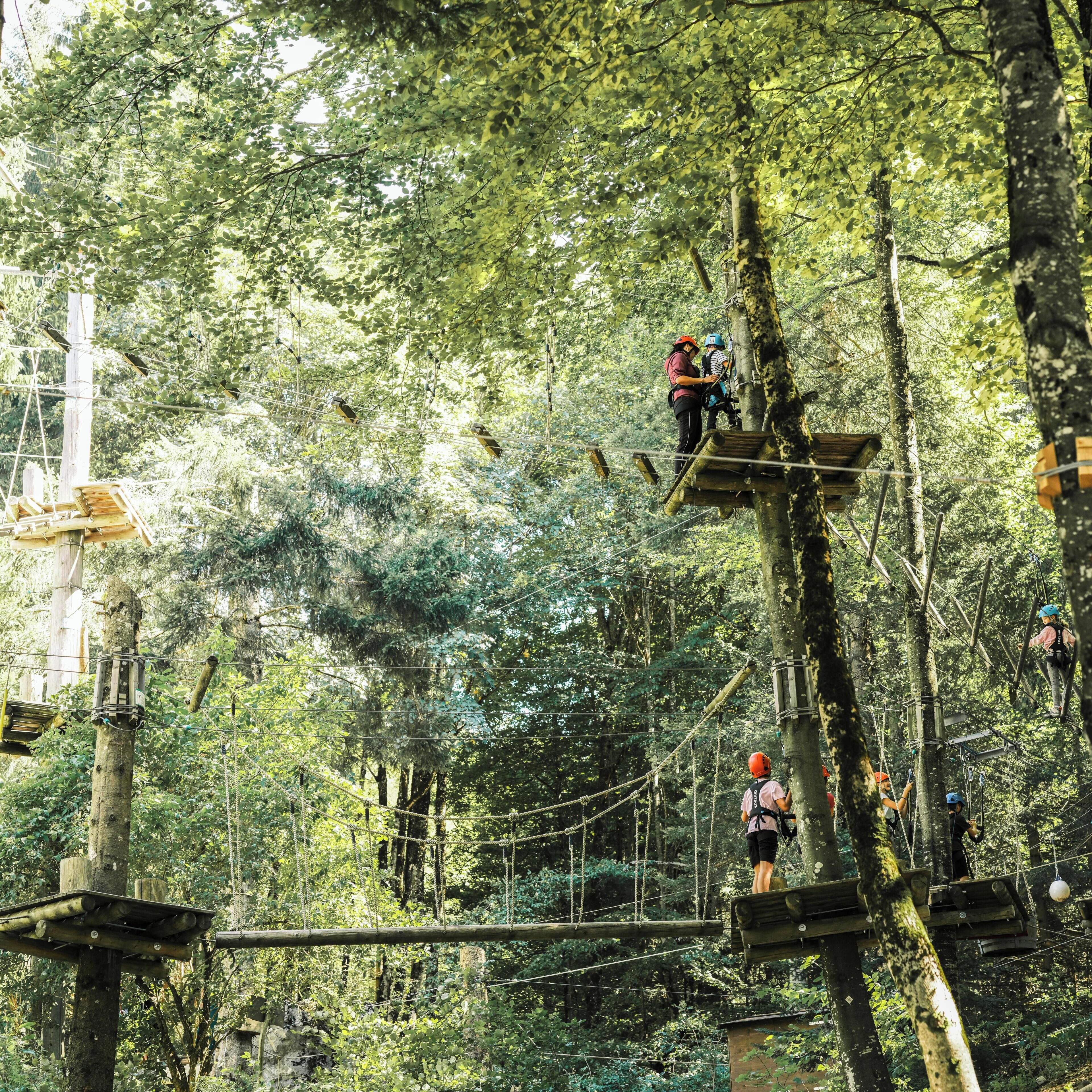 Un área boscosa con plataformas de madera y cuerdas para una actividad de aventura.