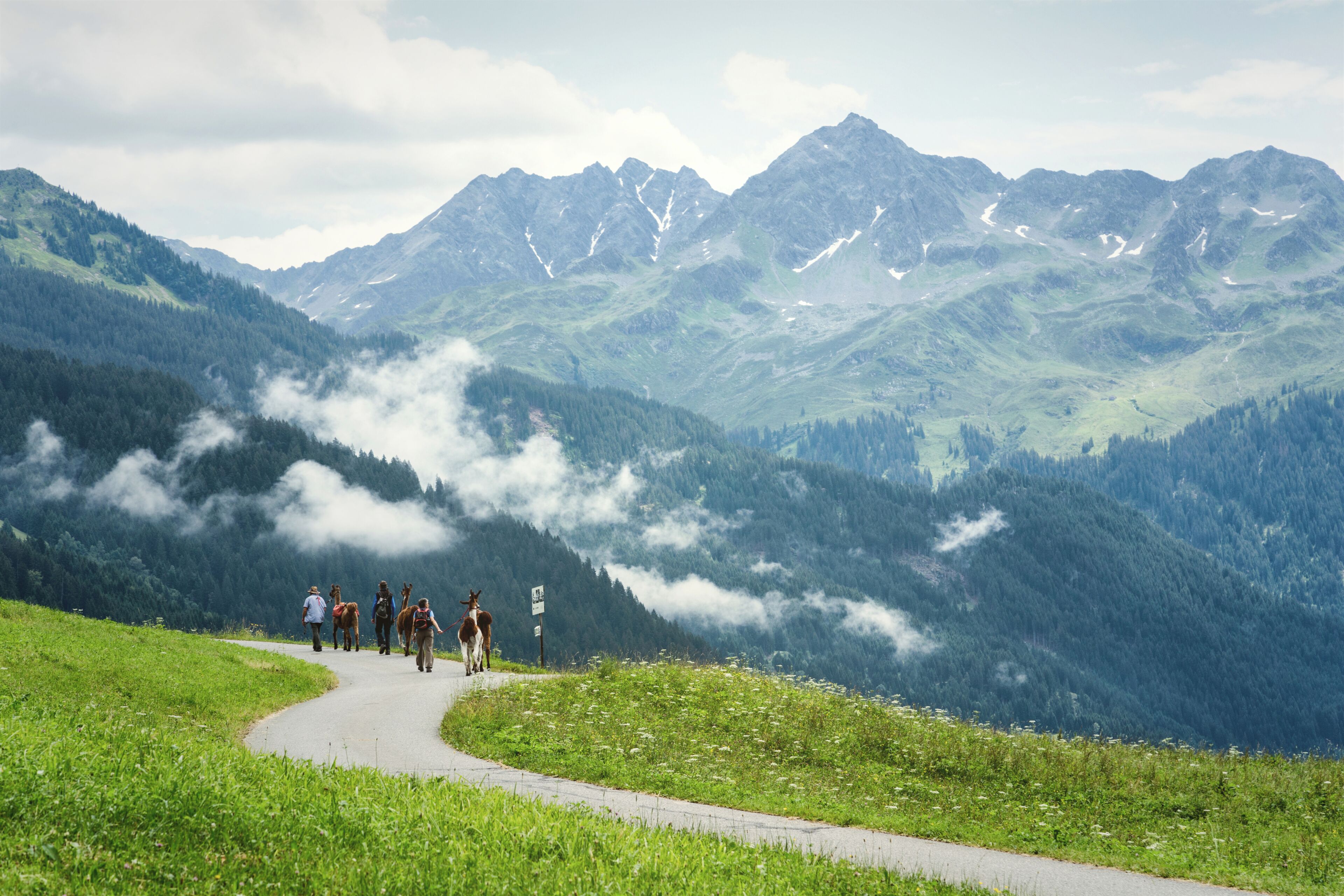 A mountain path with hikers, surrounded by lush green hills and distant peaks.
