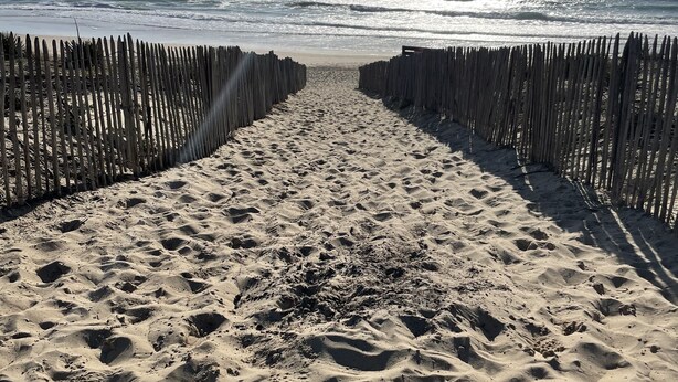 A sandy beach path leading to the ocean, flanked by wooden fences.
