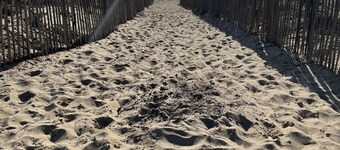 Appartement front de mer, 2 ch, 4 à 6 pers, Lacanau Océan