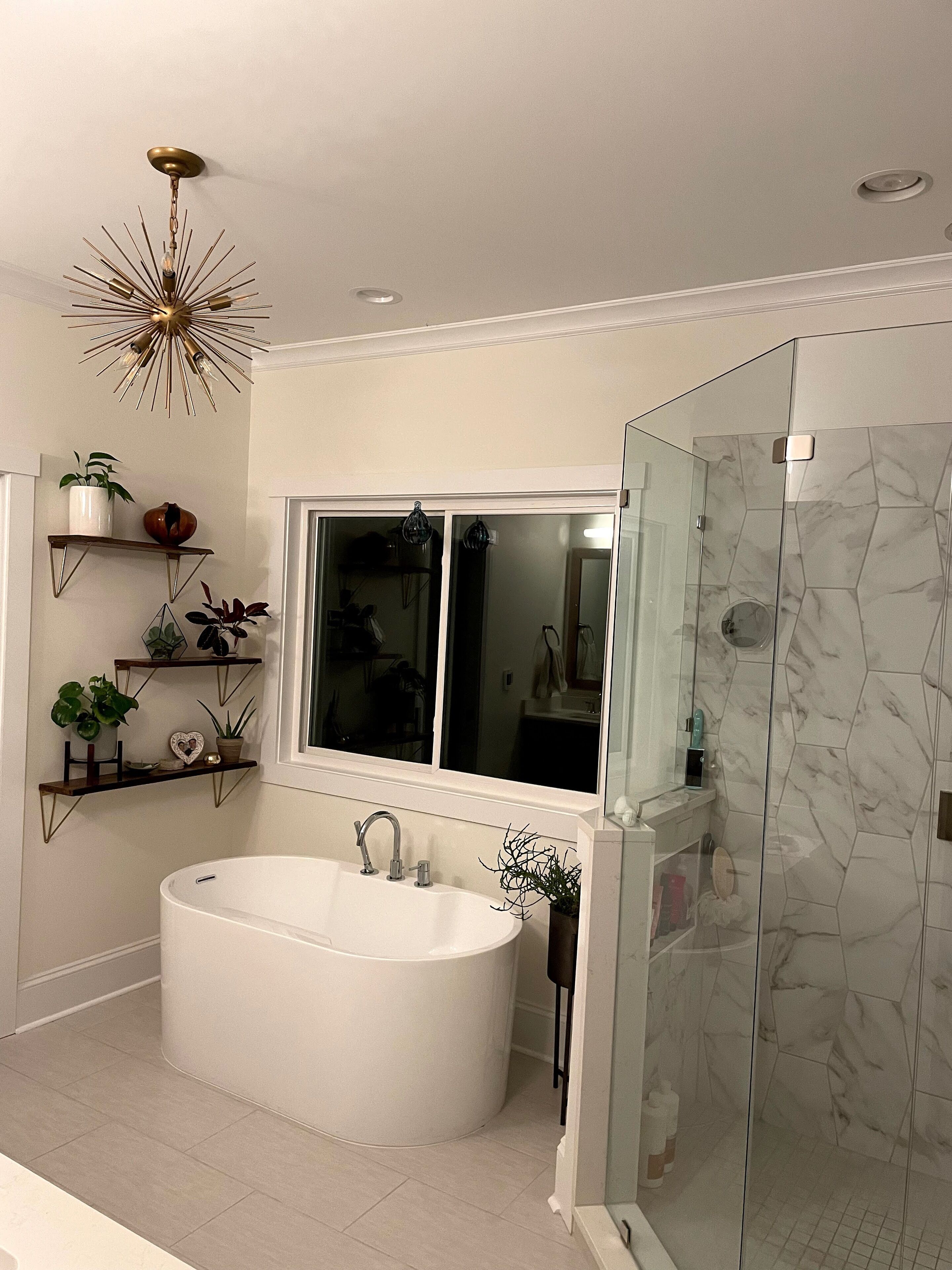 Combined shower/tub, bidet