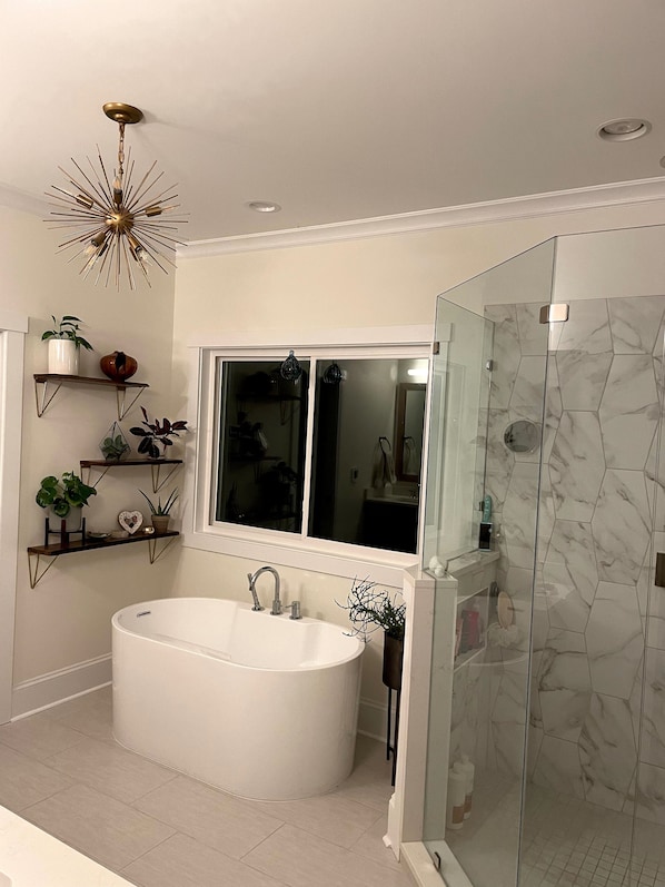 Combined shower/tub, bidet