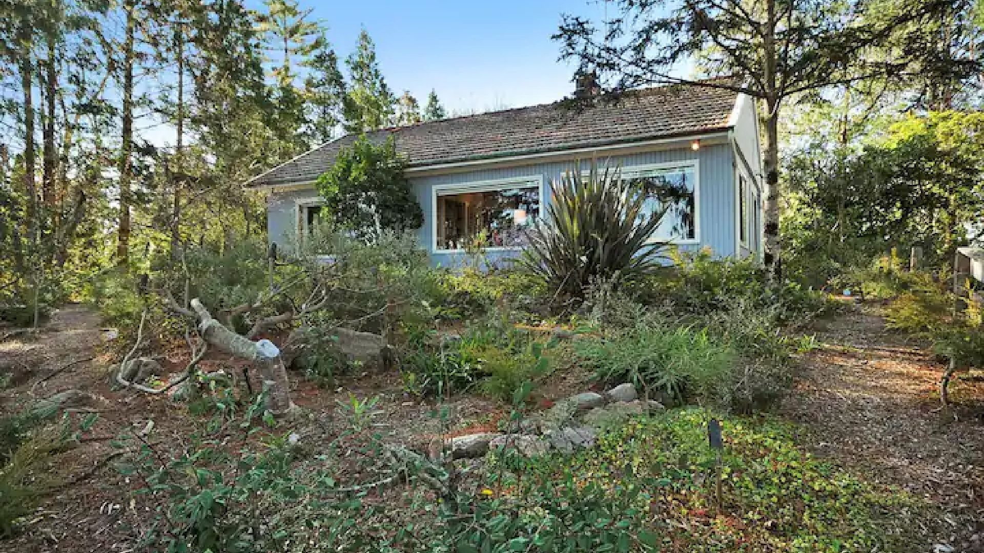 A small, single-story house with a sloped roof, surrounded by dense vegetation and trees.