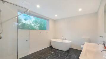 Combined shower/bathtub, hair dryer