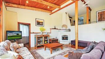 Smart TV, fireplace, books