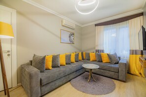 40-inch LCD TV with satellite channels, TV - la palace (Istanbul)