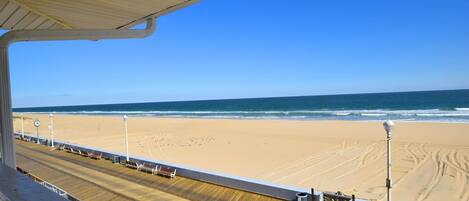 Condo, 1 habitación | Áreas de la propiedad