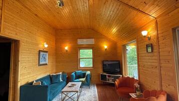 Télévision, table de tennis de table, livres, écrans d'ordinateur