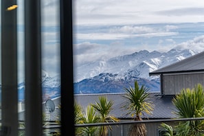 A view of snow-covered mountains through a window with a satellite dish and palm plants in the foreground.