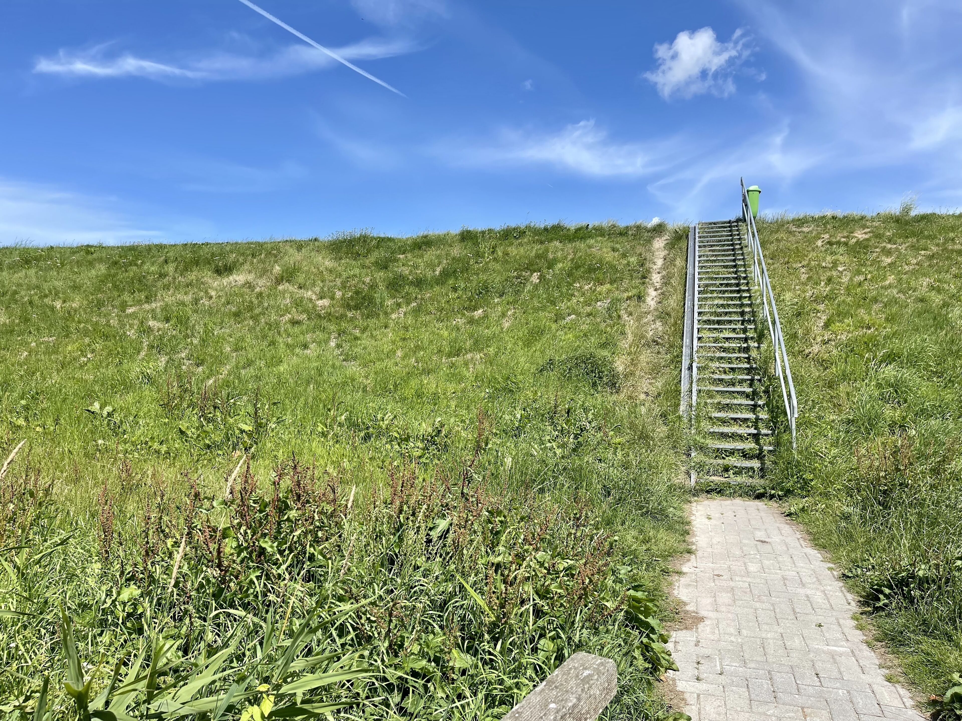 Un sendero asciende por una colina cubierta de hierba, con una escalera metálica y un bote de basura verde en la cima.