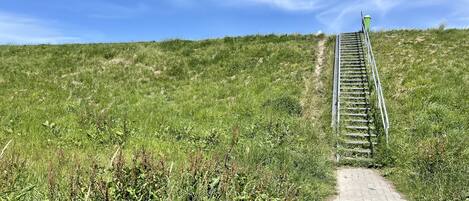 Un sendero asciende por una colina cubierta de hierba, con una escalera metálica y un bote de basura verde en la cima.