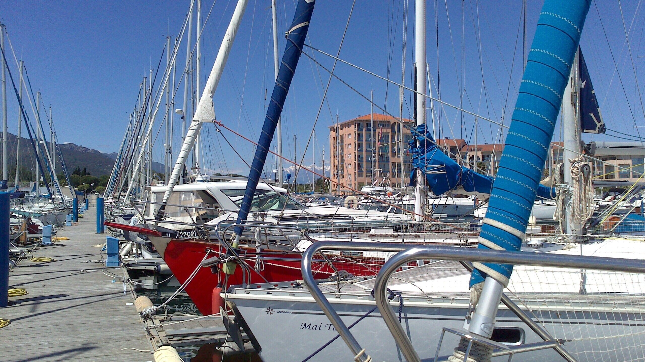 A marina with multiple sailboats docked, a building in the background, and a clear sky.