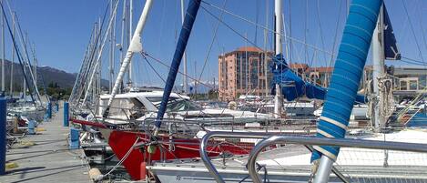 A marina with multiple sailboats docked, a building in the background, and a clear sky.