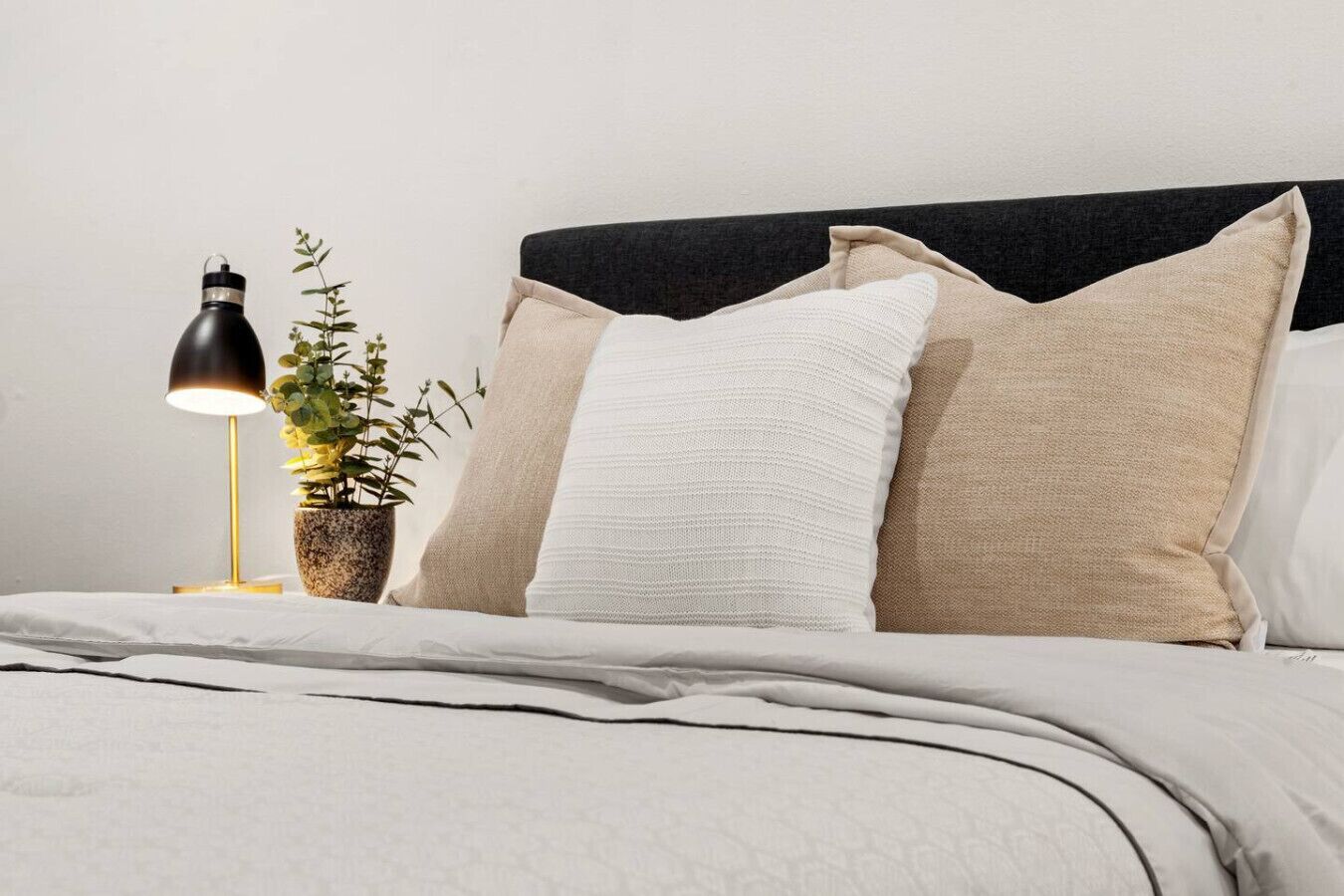 A bed with a black headboard, a bedside lamp, and a potted plant.