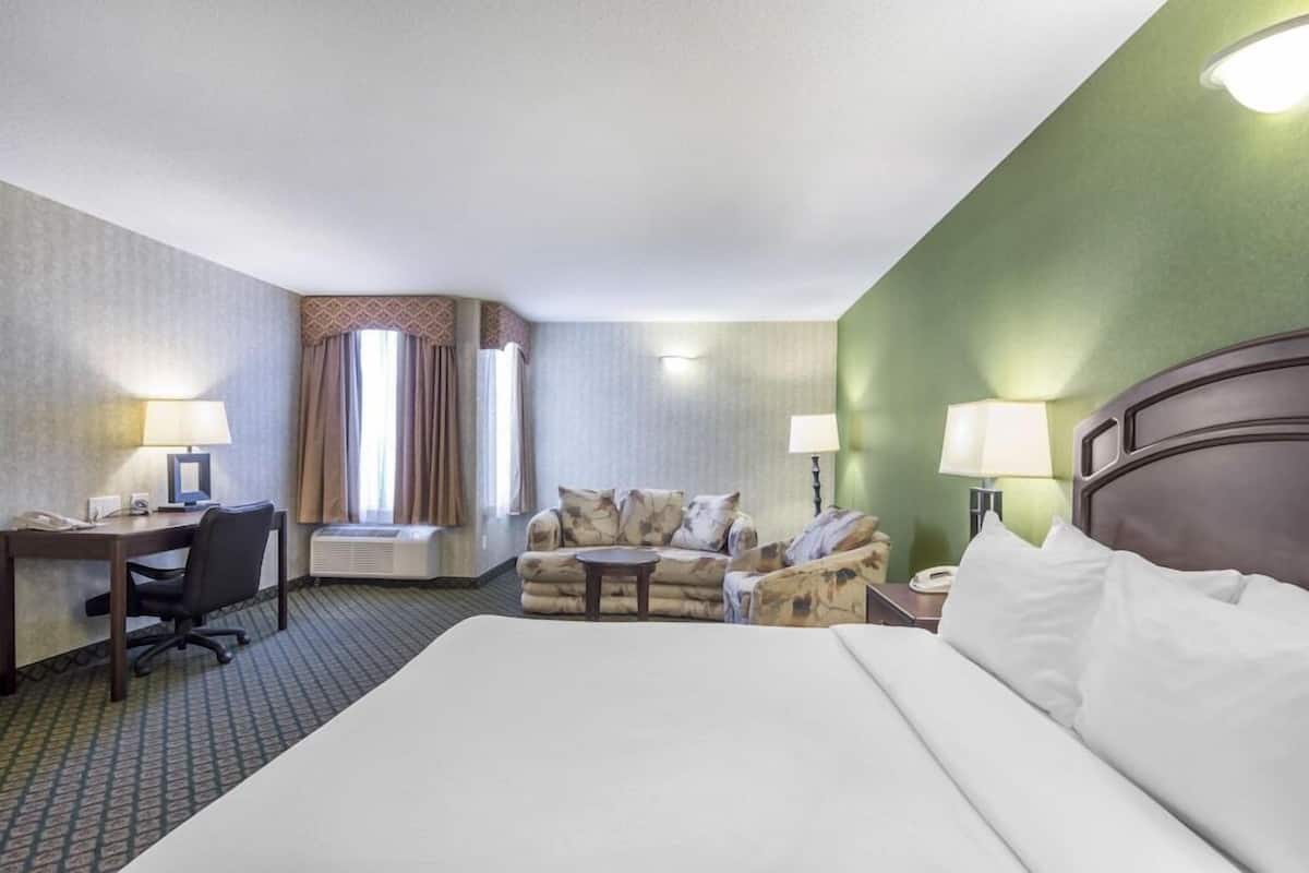 Habitación de hotel con una cama grande, un escritorio con una silla, un sofá, dos lámparas y una ventana con cortinas.