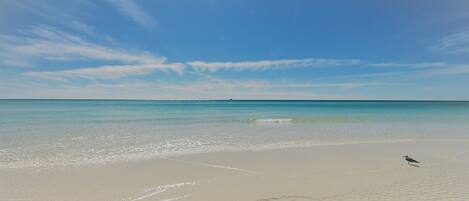 Playa en los alrededores