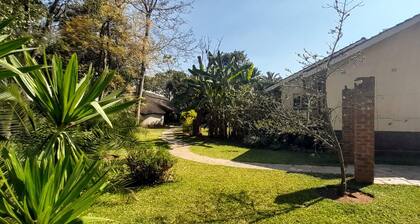 Zebras Dazzle B&B | The Zebra Room